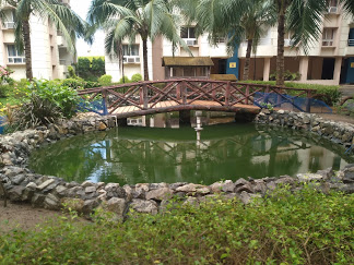 Images